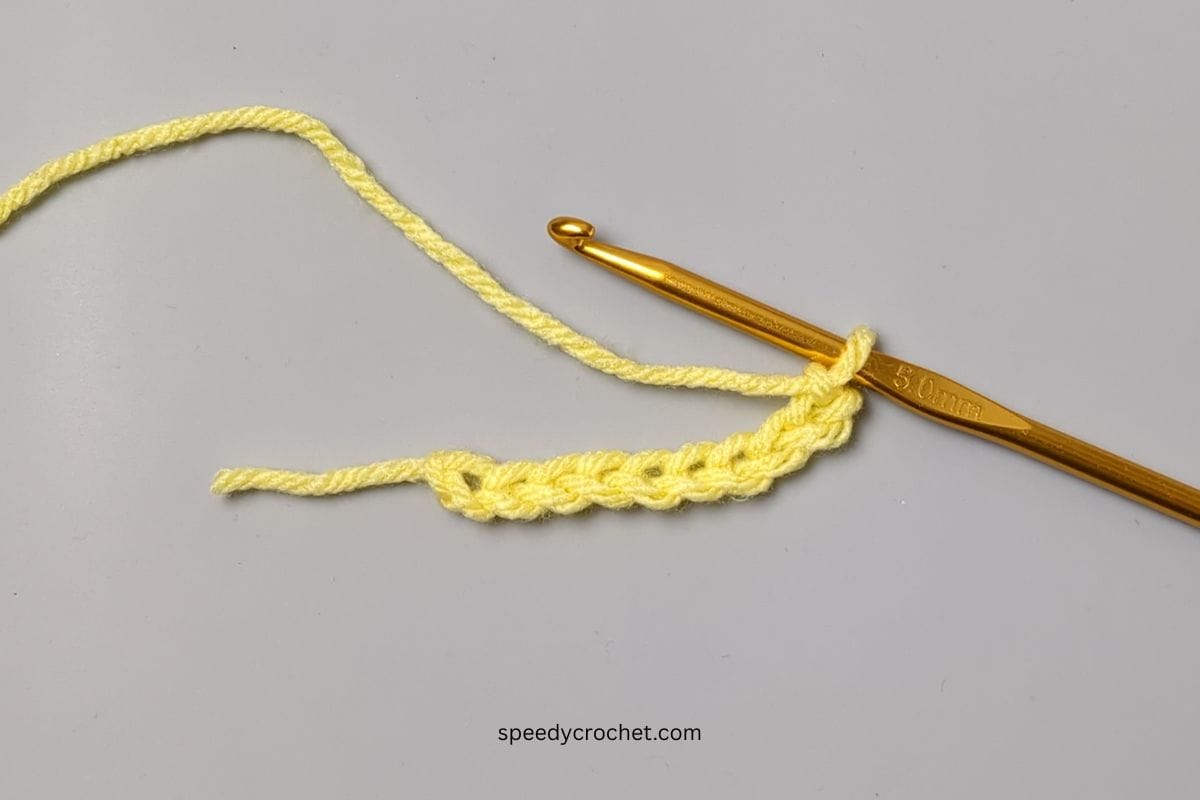 crochet chain stitch.