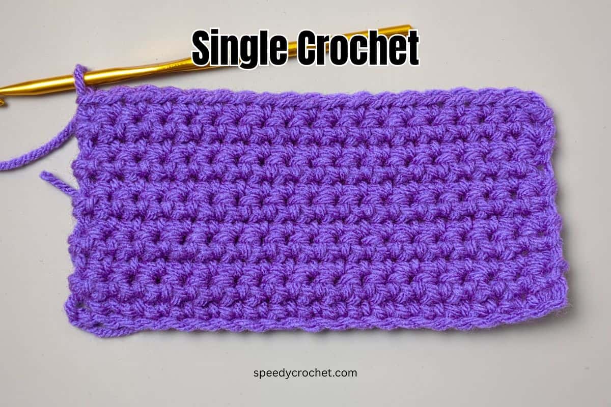Single crochet stitches in purple yarn.