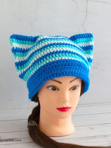 Blue stipe cat beanie.