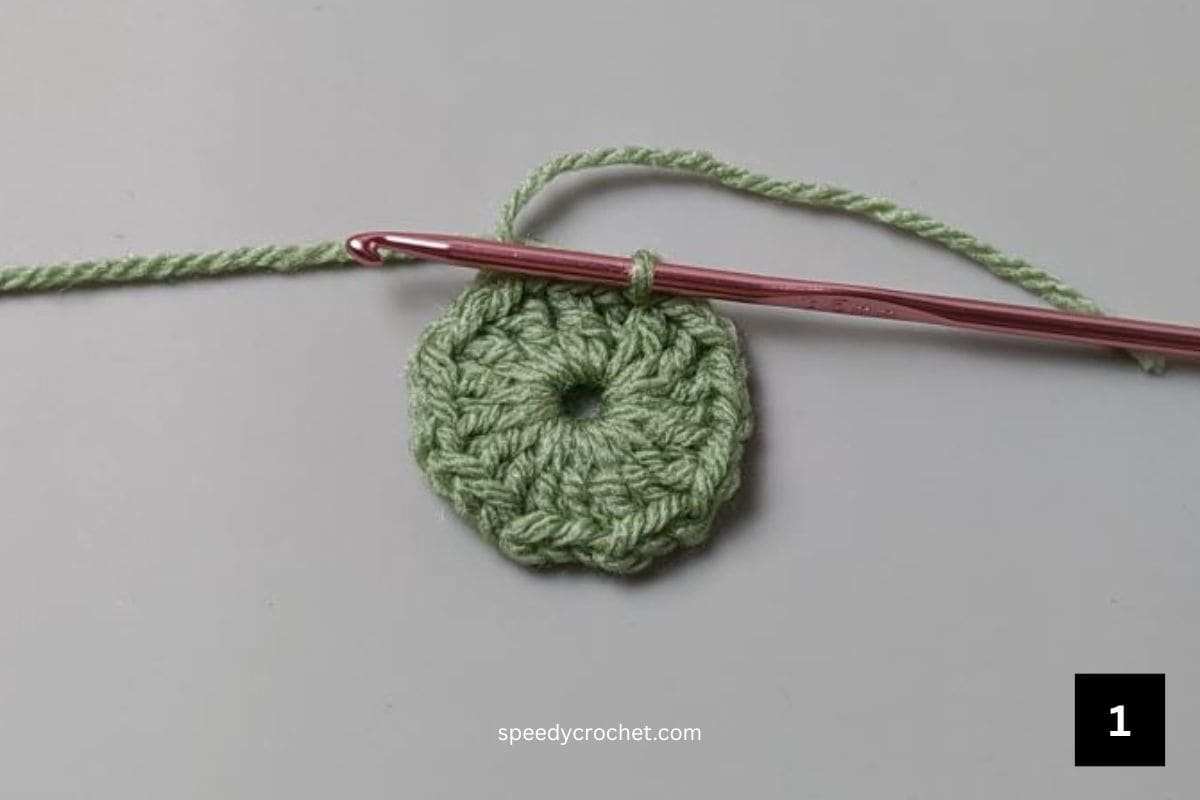 A green crochet circle.