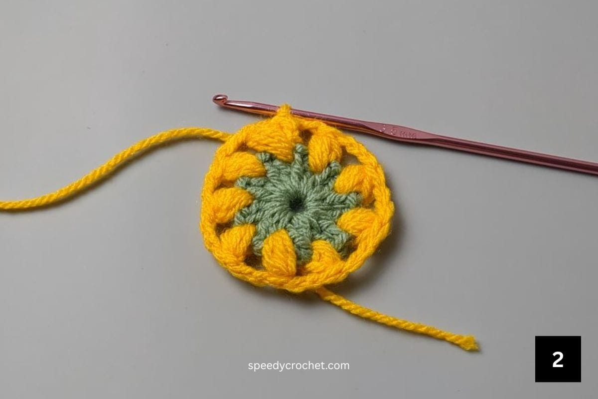 A two round crochet circle in green and yellow.