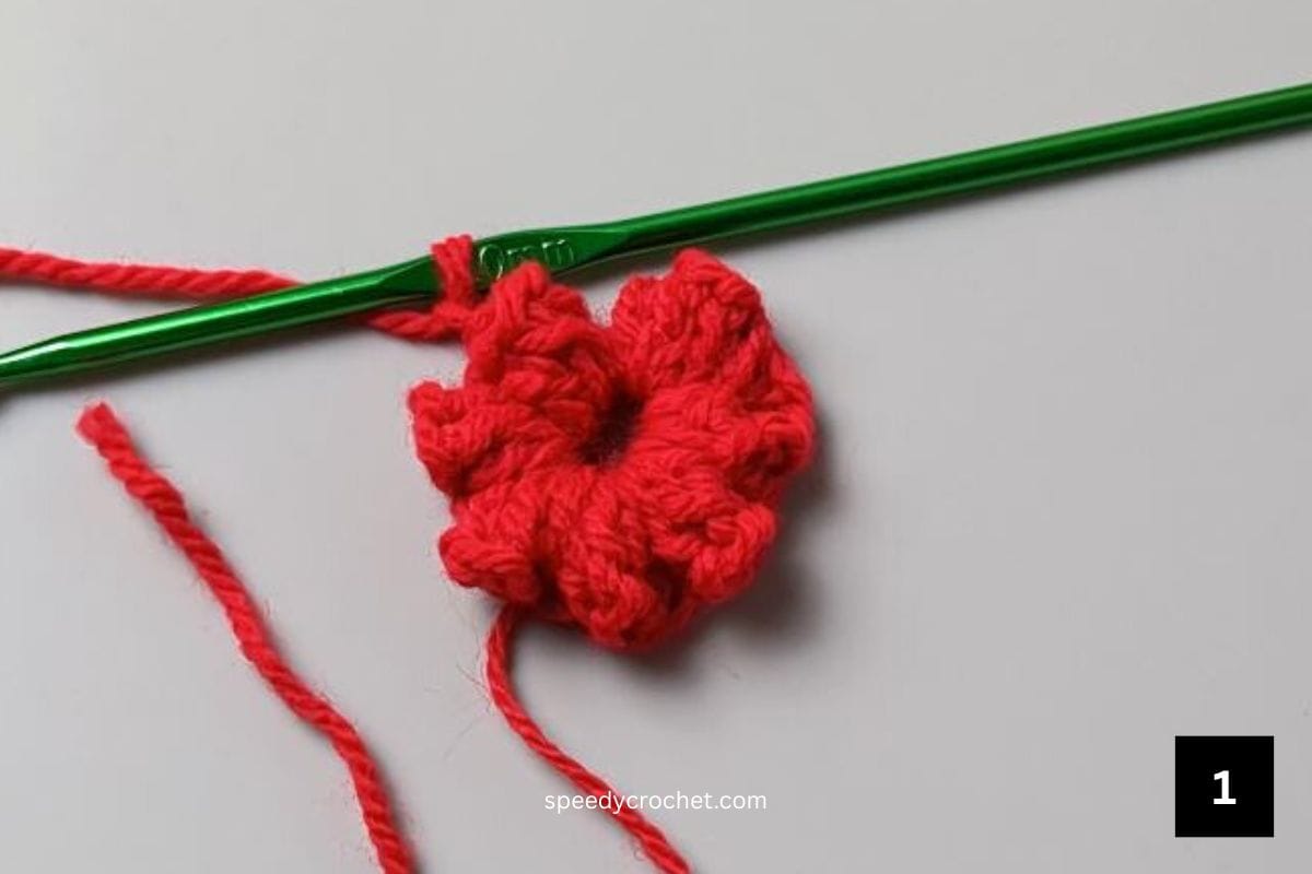 Red popcorn flower circle.