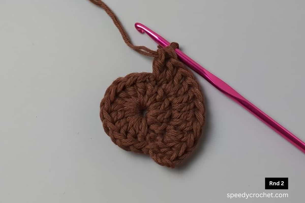 Two round crochet cirlce.