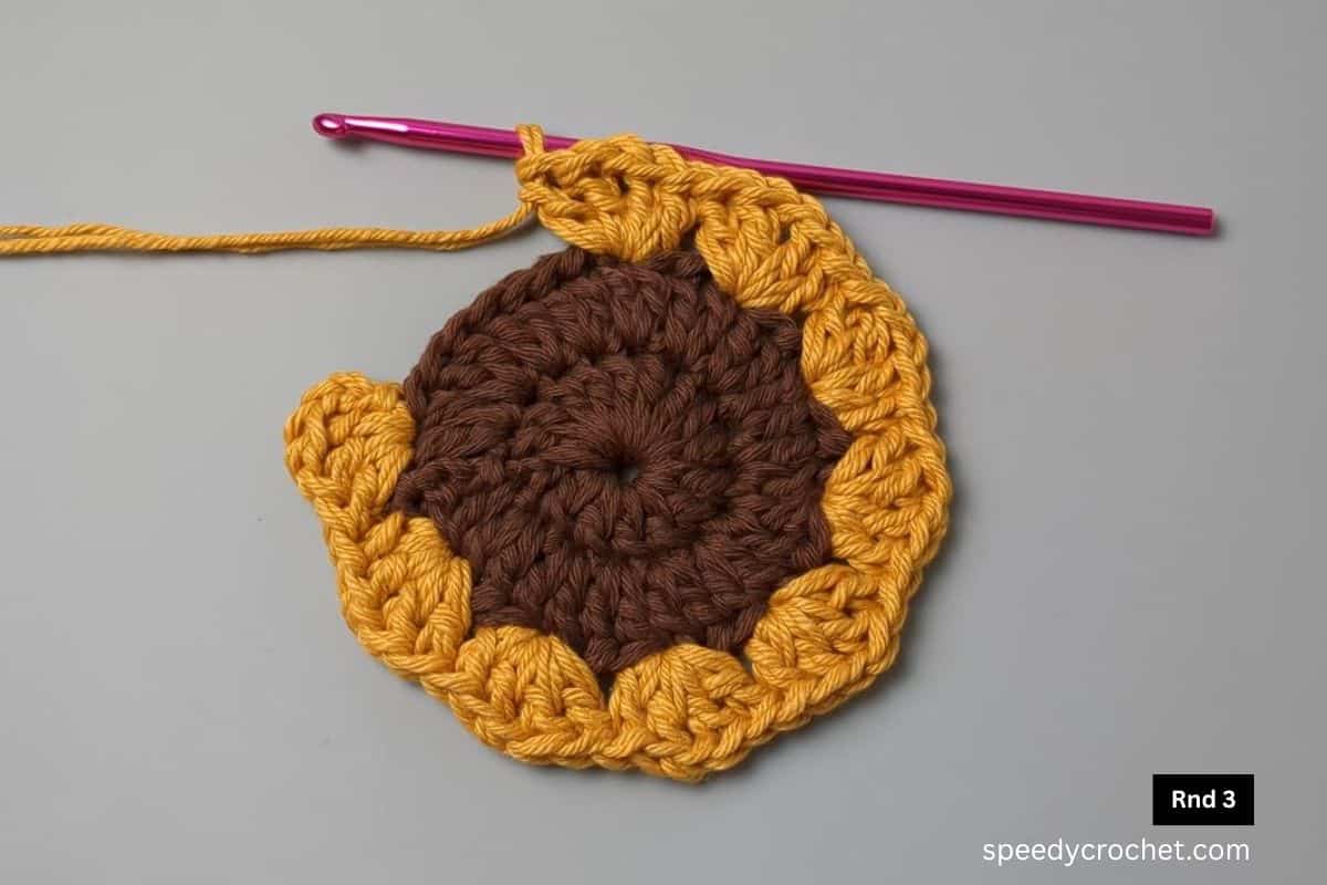 Three round crochet cirlce.