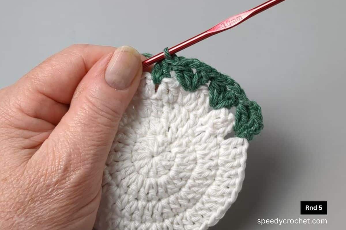 A white crochet circle with a round of green crochet stitches.