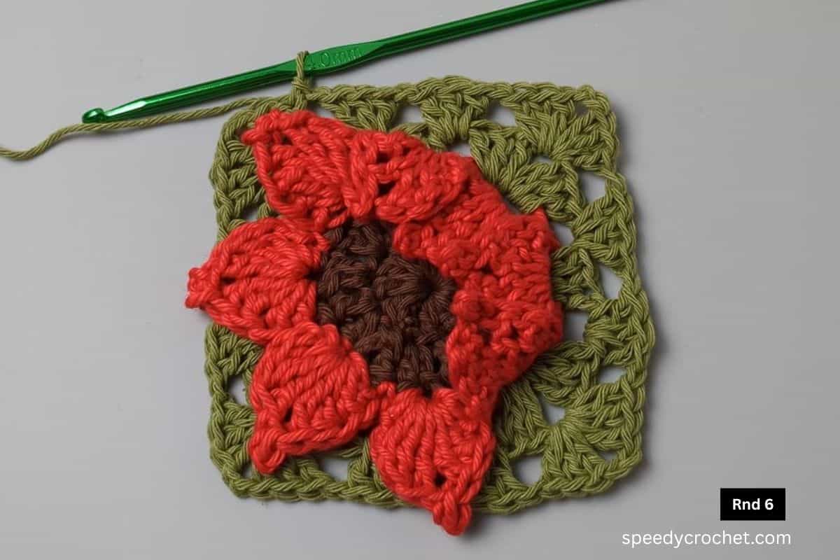 Flower granny square up to round 6.