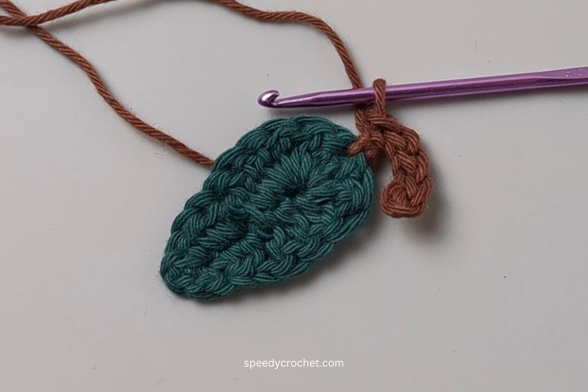 Crochet leaf and stem.