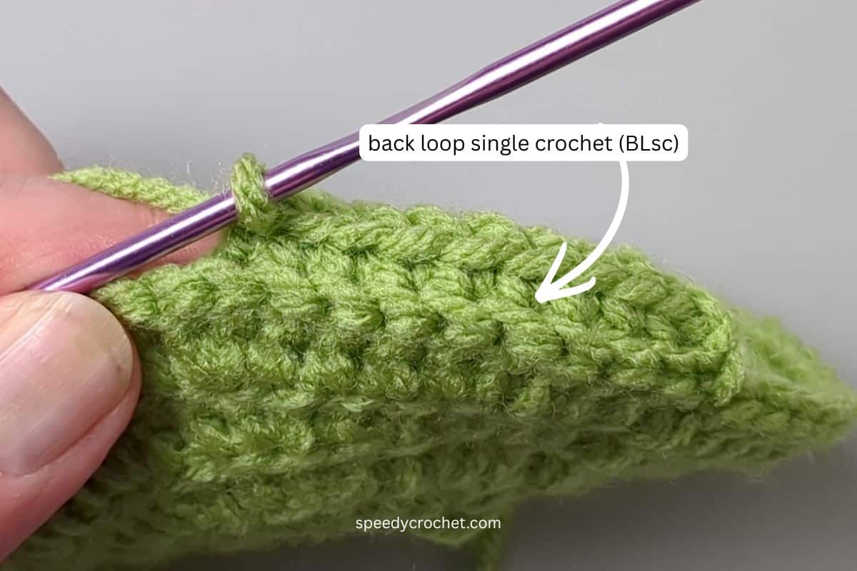 Image showing back loop single crochet.
