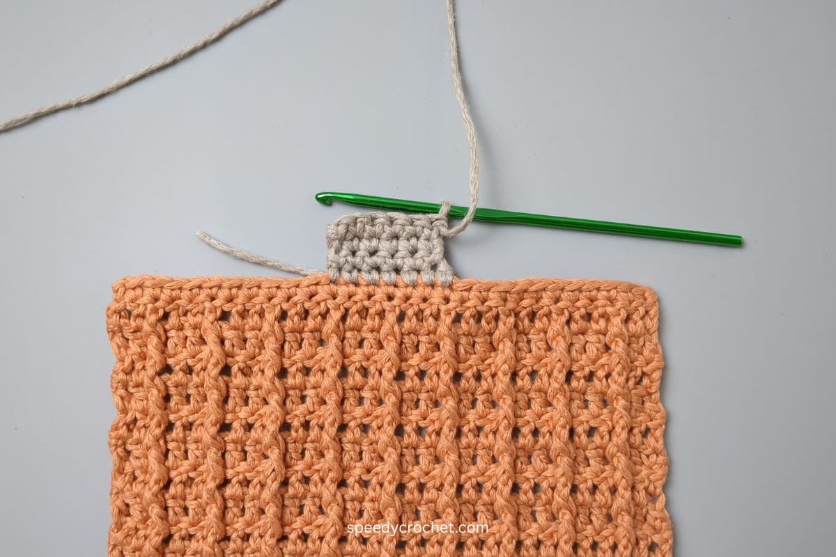 Crochet pumpkin dishcloth.
