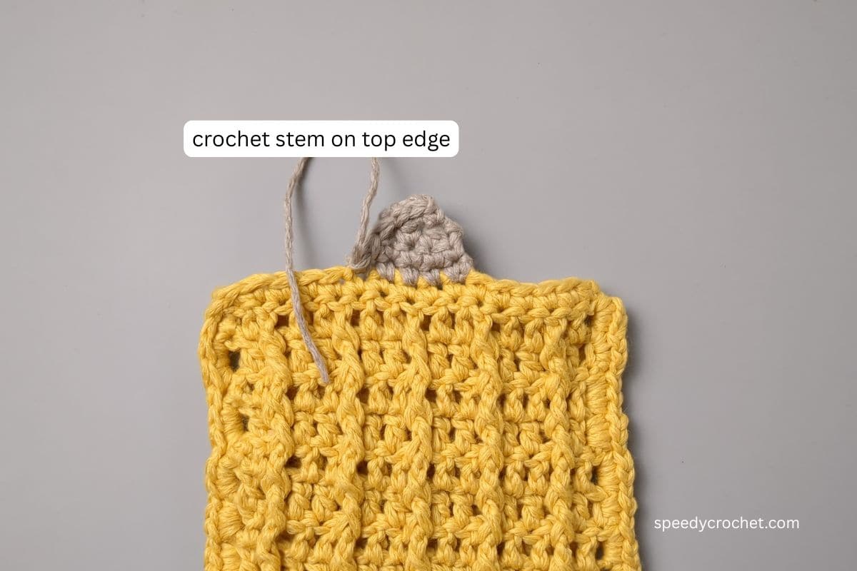Crochet stem on soap saver pouch.