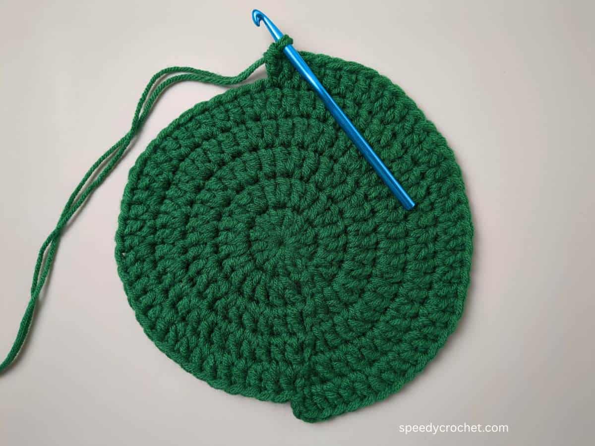 Six round crochet circle.
